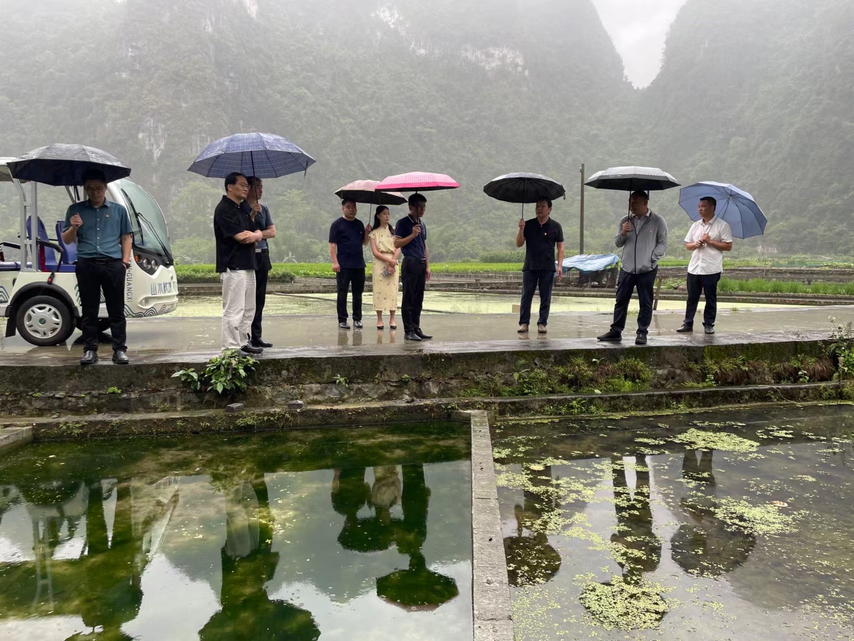 4.广西商校领导班子成员实地考察大新县硕龙镇念典村乡村振兴富民项目——田螺养殖基地